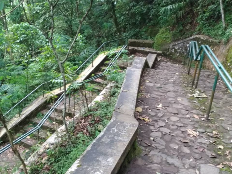 more-stairs.jpg